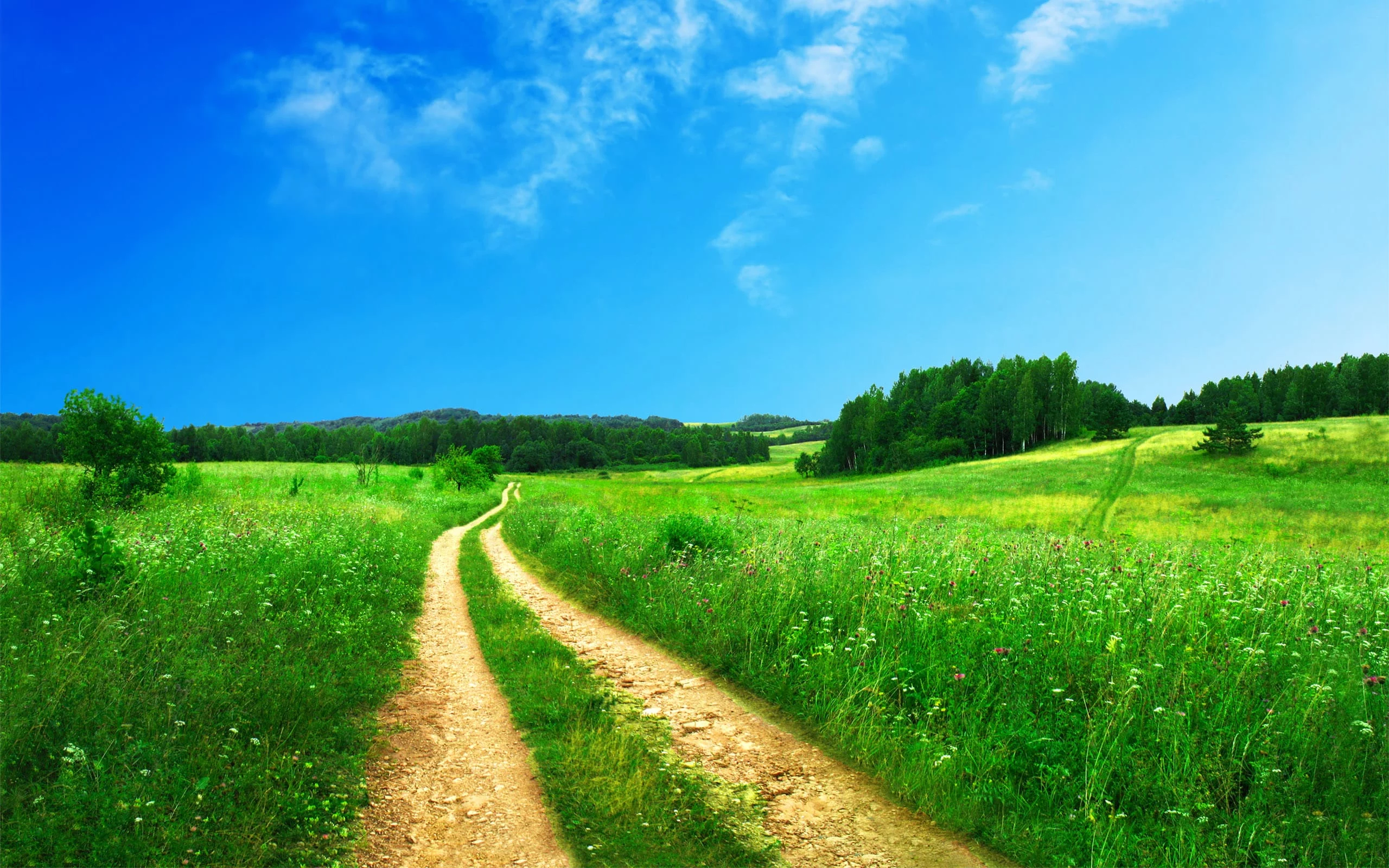 Feldweg durch eine weite Landschaft