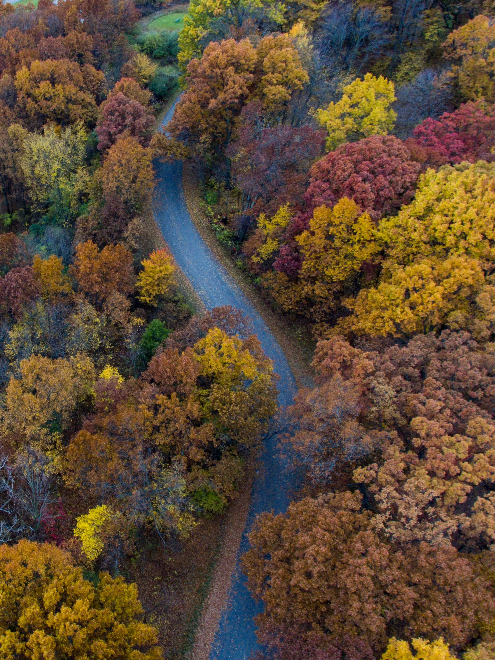 Luftaufnahme einer kurvigen Strasse durch herbstlichen Wald